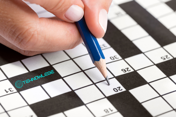 CEO of a website crossword clue