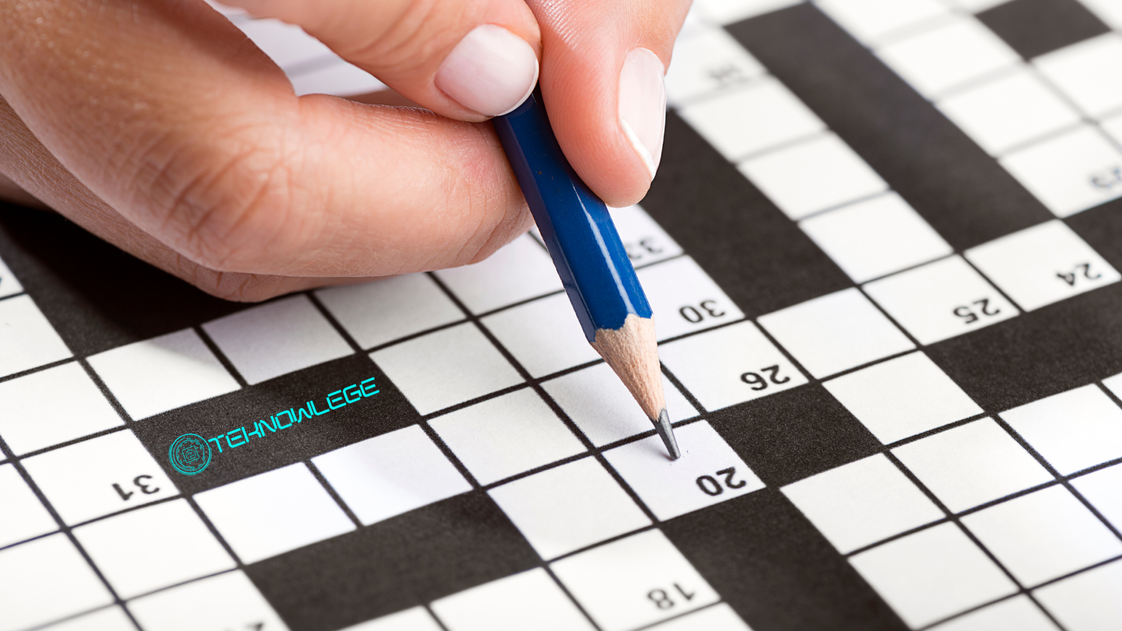 CEO of a website crossword clue