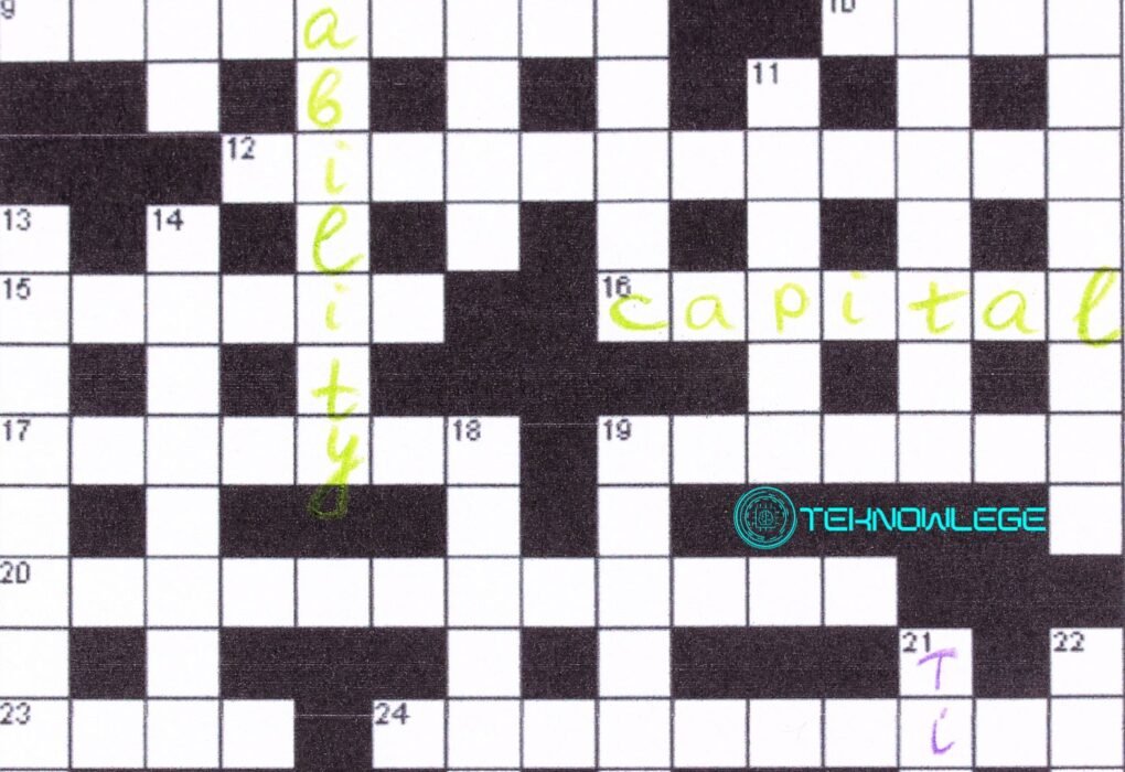 Silly Mistake NYT Crossword Clue Answer