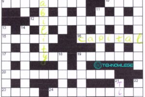 Silly Mistake NYT Crossword Clue Answer