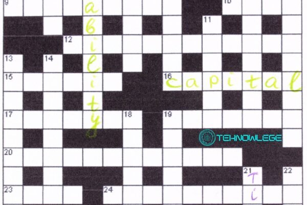 Silly Mistake NYT Crossword Clue Answer