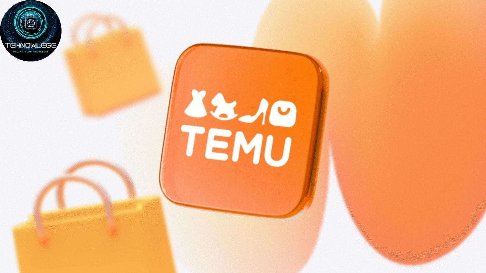 earn money with temu